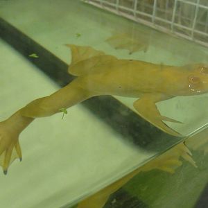 Tallinn Zoo: August 2015