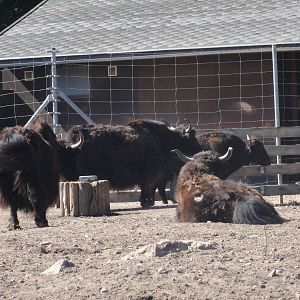 Tallinn Zoo: August 2015