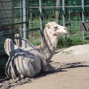 Tallinn Zoo: August 2015