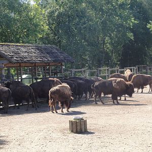 Tallinn Zoo: August 2015