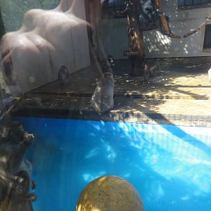 Tallinn Zoo: August 2015