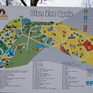 Plan zoo