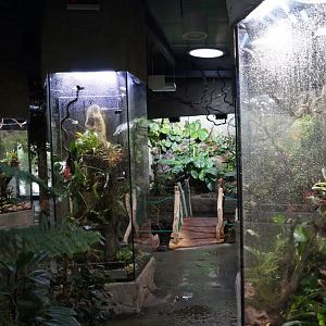 Terrariums built pavilion in amphibians