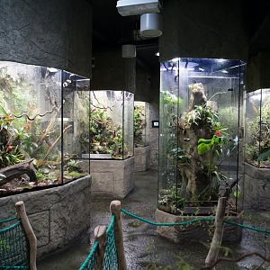 Terrariums built pavilion in amphibians