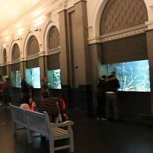 View in one of the Aquarium halls