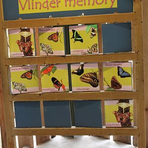 Butterfly memory game