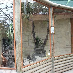 Enclosure Common agama