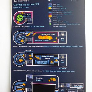 Map of the Aquarium - Gdynia Aquarium