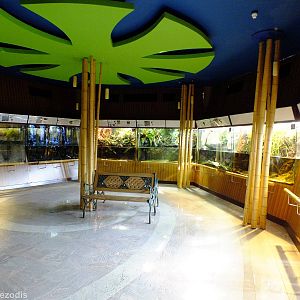 View of At the Border of Water and Land Section - Gdynia Aquarium