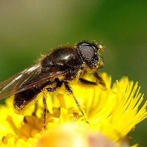 Already working  :) 02.04.2016