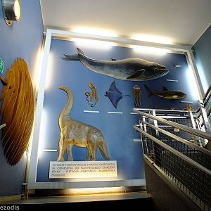 Display - Gdynia Aquarium