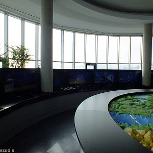 Displays - Gdynia Aquarium