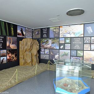 Display - Gdynia Aquarium
