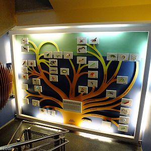 Display - Gdynia Aquarium