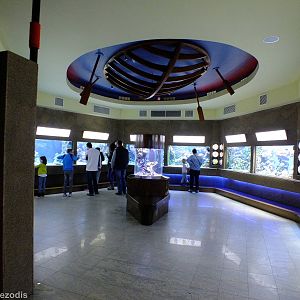 View of the Coral Reef Section- Gdynia Aquarium
