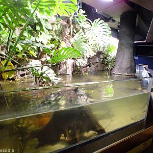 Open-topped Tank - Gdynia Aquarium
