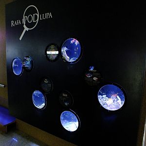 Display of Various Small Tanks - Gdynia Aquarium