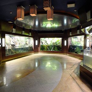 View of Amazon Section - Gdynia Aquarium