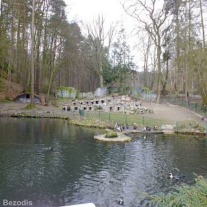 African Penguin Enclosure