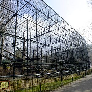 Outdoor Mandrill Enclosure