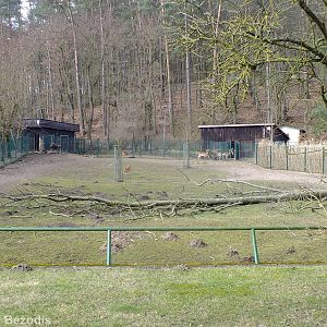 Sitatunga Enclosure