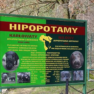 Hippo Sign