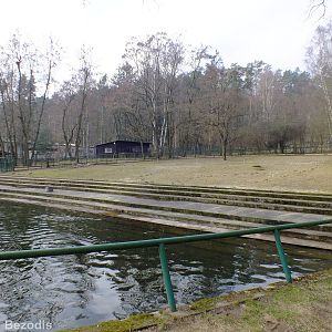 Hippo Enclosure