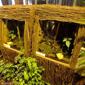 Tarantula Enclosures in the Hippo House