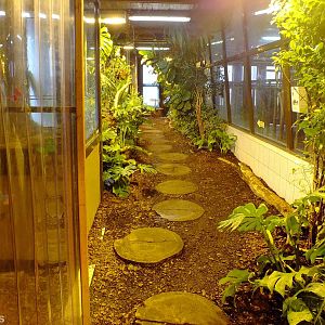 View in the Hippo House