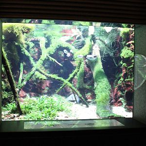 Aquarium