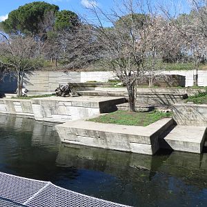 White Tiger enclosure 150216