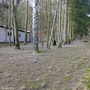 Maned Wolf Enclosure
