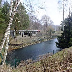 Pygmy Hippo (left) and Brazilian Tapir (right) Enclosures