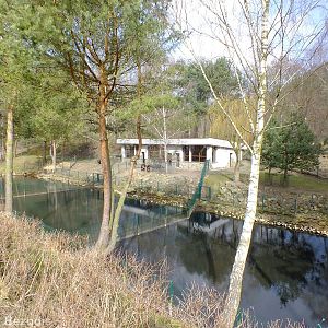 From Right to Left, Enclosures for Capybara, Brazilian Tapir, and Pygmy Hip