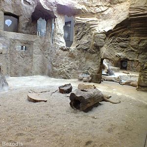 Lion Indoor Enclosure (part of)
