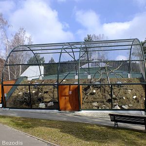 Sand Cat Outdoor Enclosure