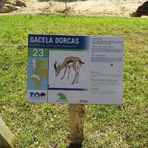 Dorcas Gazelle sign 150216