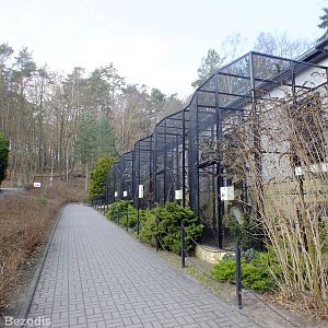 Outside Bird Enclosures of the Bird and Reptile Pavilion