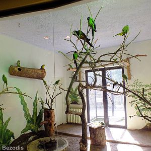 Indoor Bird Enclosure