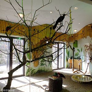 Indoor Bird Enclosure