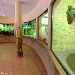 View in the Bird and Reptile Pavilion