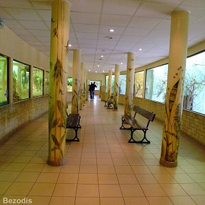 View in the Bird and Reptile Pavilion