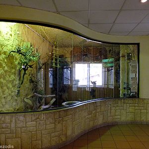 Small Bird Enclosure