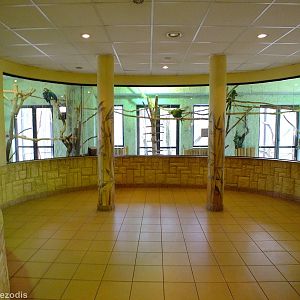 View in the Bird and Reptile Pavilion