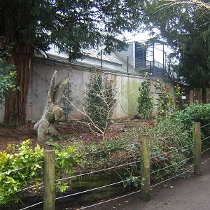 Site of old bird aviarys