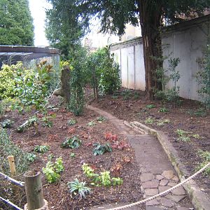 Site of old bird aviarys