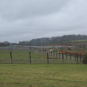 View towards Bear enclosure