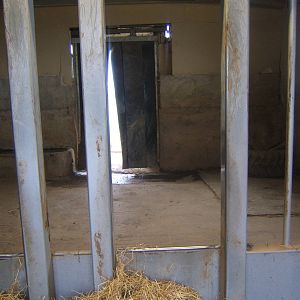 View inside White Rhino House