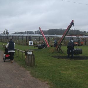 View of Bear enclosure