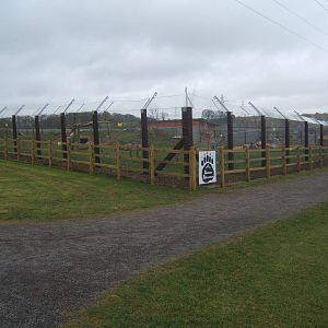 View of Bear enclosure